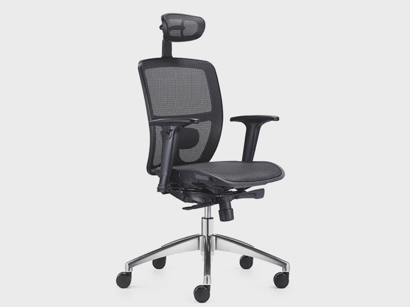 Shinemesh Ergonomic Mesh Executive Chair