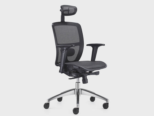 Shinemesh Ergonomic Mesh Executive Chair